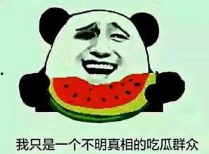 形容自己是吃瓜群众,我是那个默默吃瓜的群众