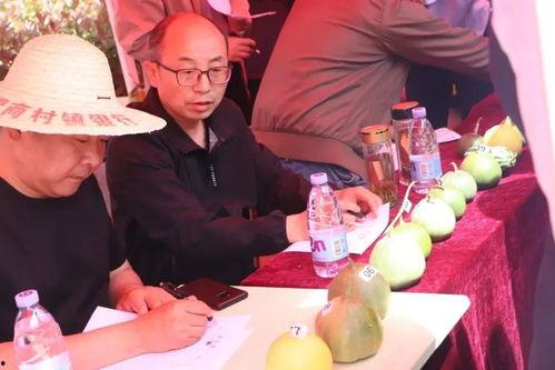 山东群众吃瓜视频,夏日街头美食盛宴