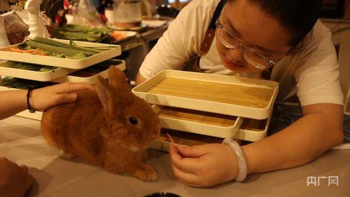 卡皮巴拉摆件吃瓜群众,吃瓜群众的趣味新宠