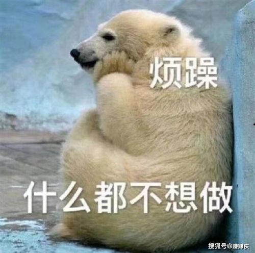 潇洒吃瓜群众图片大全,潇洒瞬间，笑料百出