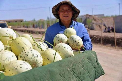 有没有想当吃瓜群众的小说,我是那个只想吃瓜的旁观者