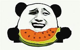 人类幼崽吃瓜群众成长记,吃瓜群众成长轨迹