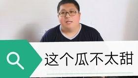 丁太升吃瓜群众,吃瓜群众的美食探索之旅