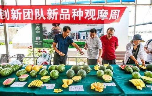 吃瓜群众乡农甄选,吃瓜群众眼中的田园美食之旅