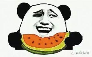 吃瓜群众跟着欢呼雀跃,共庆喜悦时刻