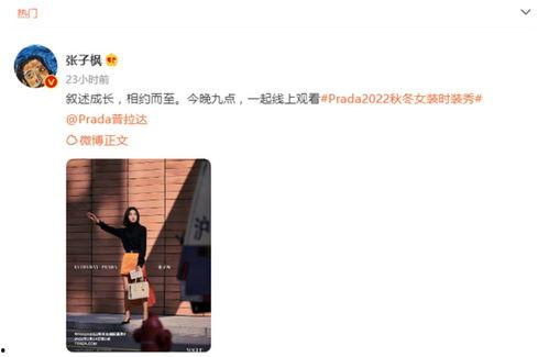 吃瓜群众热评怎么写,揭秘网络热评背后的真相与趣味