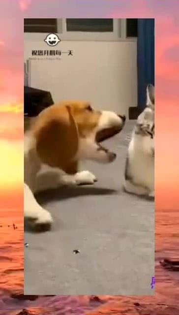 吵架旁边有吃瓜群众吗,吃瓜群众围观下的激烈争吵