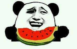 约架吃瓜群众,吃瓜群众围观激情对决