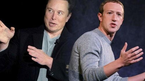 约架吃瓜群众,吃瓜群众围观激情对决