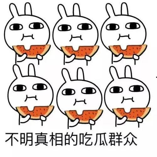 吃瓜群众1打5人,吃瓜群众1的逆袭传奇