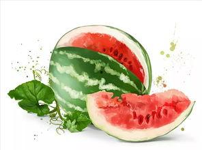 爱美食的吃瓜群众是谁,探寻美食界的神秘美食家