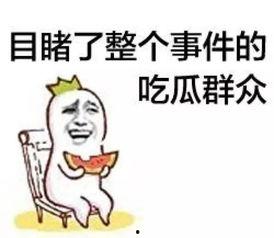 我们认识吃瓜群众的人