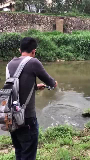 吃瓜群众们都看傻了图片,画面引发热议！